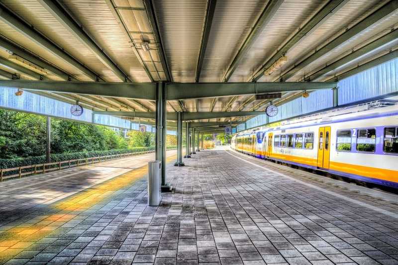 Bálnaszobornak köszönhetően menekült meg egy metrószerelvény Hollandiában