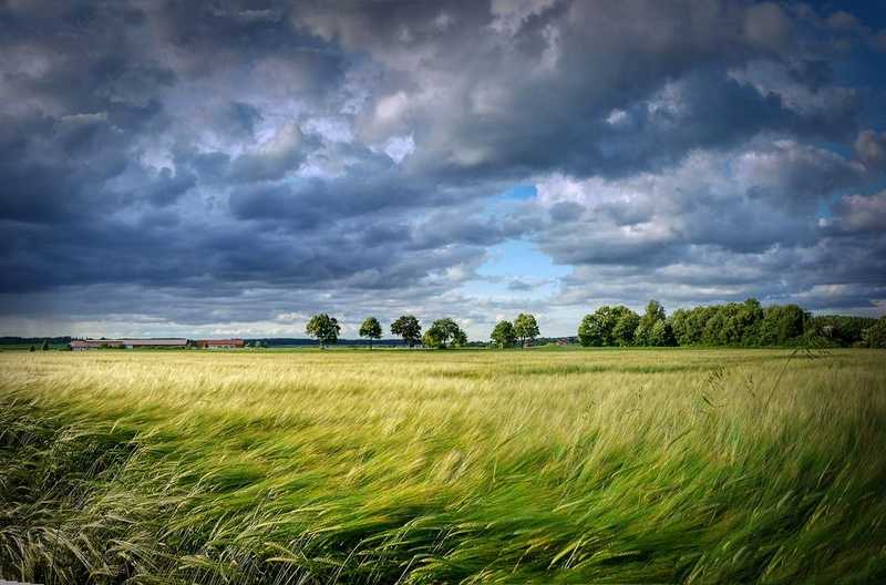 Károkat okozott a vihar Győrben és környékén 