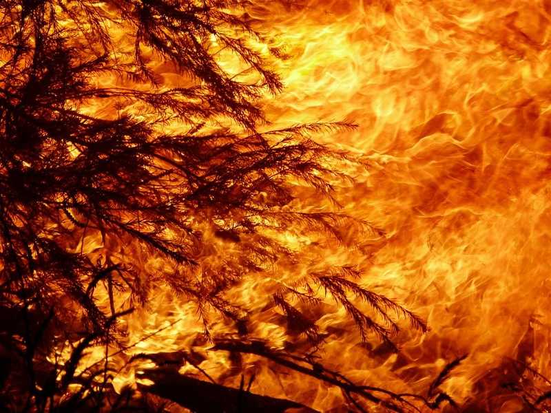 Egyre kétségbeejtőbb a helyzet a hőséggel és bozóttüzekkel sújtott Ausztráliában