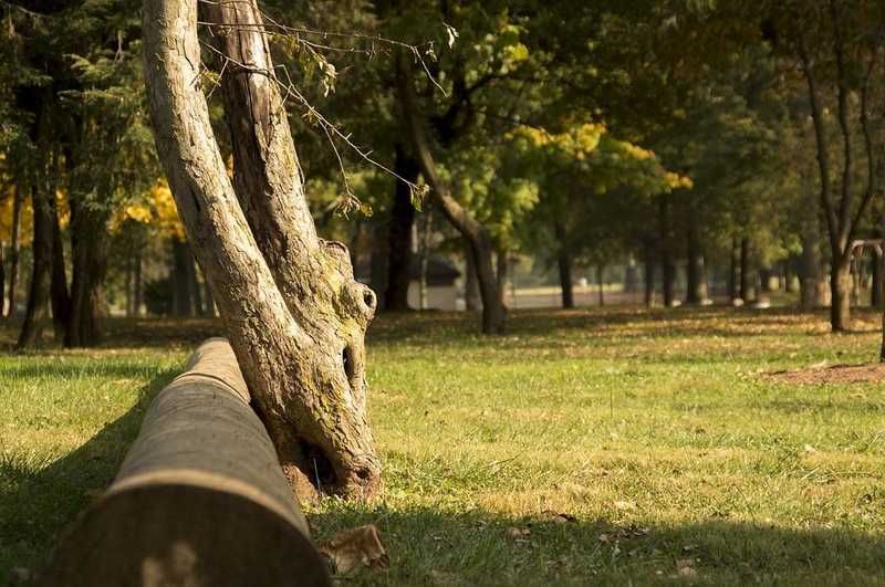 Kedvez a meleg, napsütéses idő kedvelőinek ez a hétvége