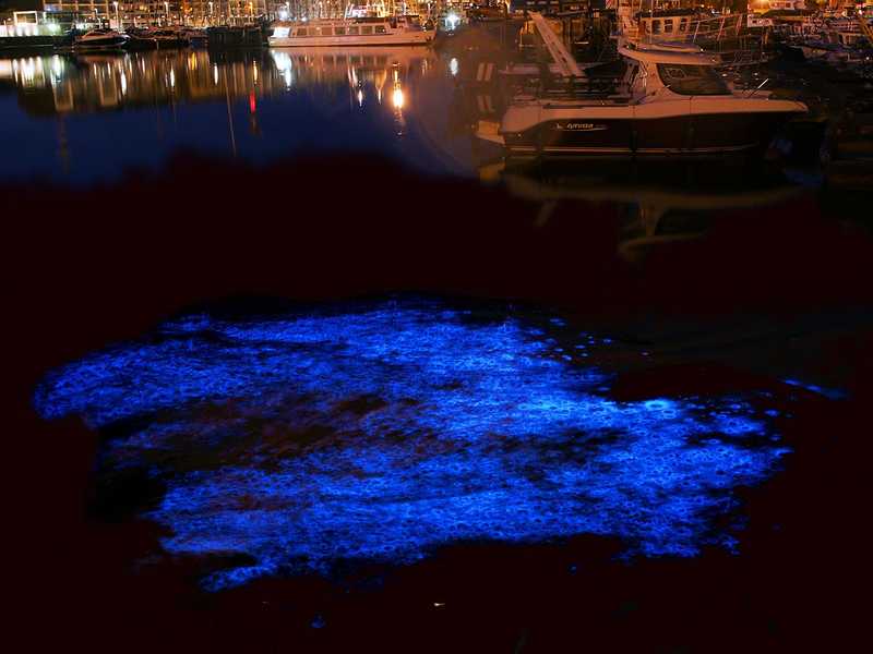 Ragyogó látvánnyal örvendeztették meg a szerencséseket a planktonok Cork óceánpartján