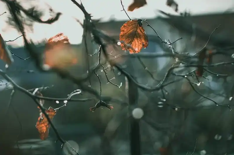 Változékony, őszies idő várható a héten