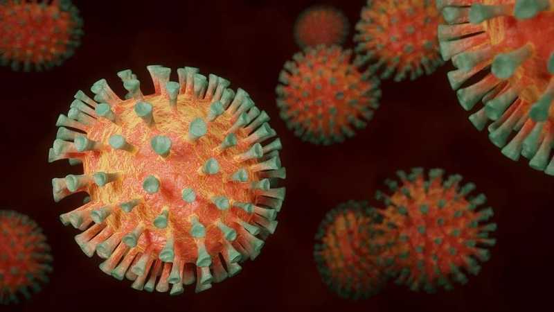 Brazíliában is új koronavírus-variáns jelent meg 