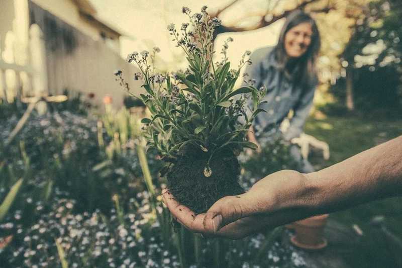 A kertészkedés segíthet a pozitív testkép kialakításában