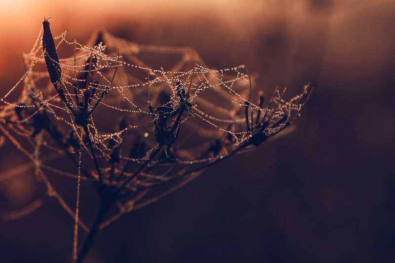 Ködös, majd felhős időre számíthatunk a héten