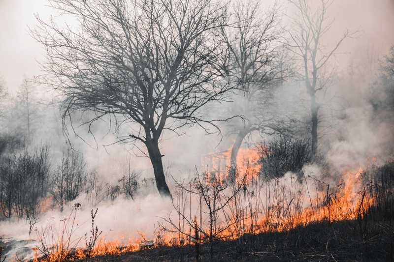 Babaváró buli miatt borulhattak lángba a kaliforniai erdők