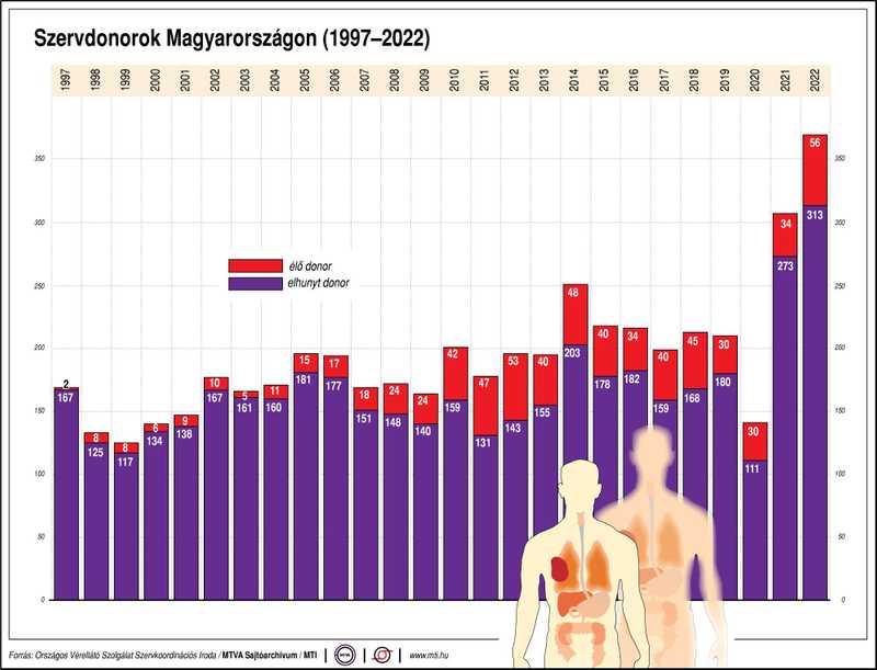 2022-ben 369 szervátültetést végeztek Magyarországon