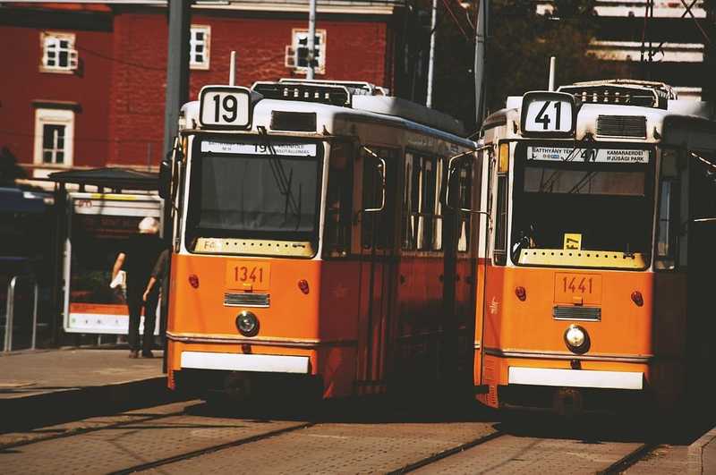 Halálra késeltek egy fiatal férfit, aki nem engedte, hogy idegenek hecceljék a kutyáját