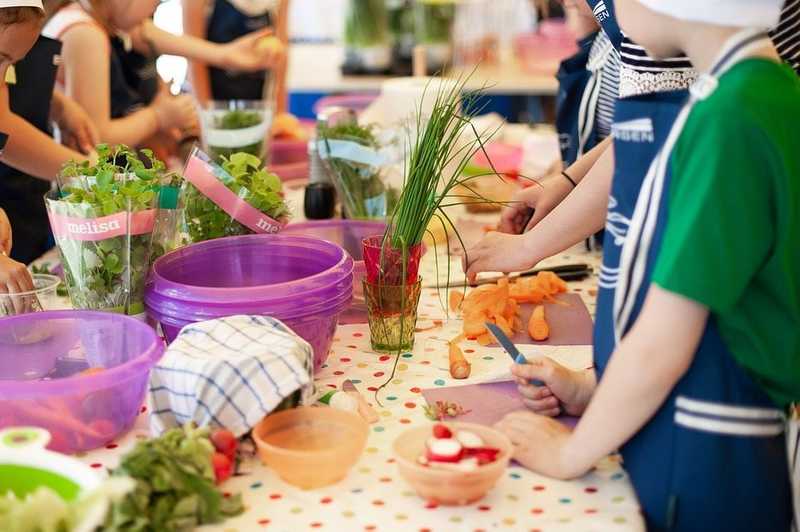 Az iskolai kiskertek zöldségevésre bátoríthatják a gyerekeket 