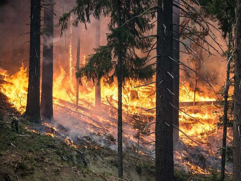 Eloltották az összes erdőtüzet Oroszországban