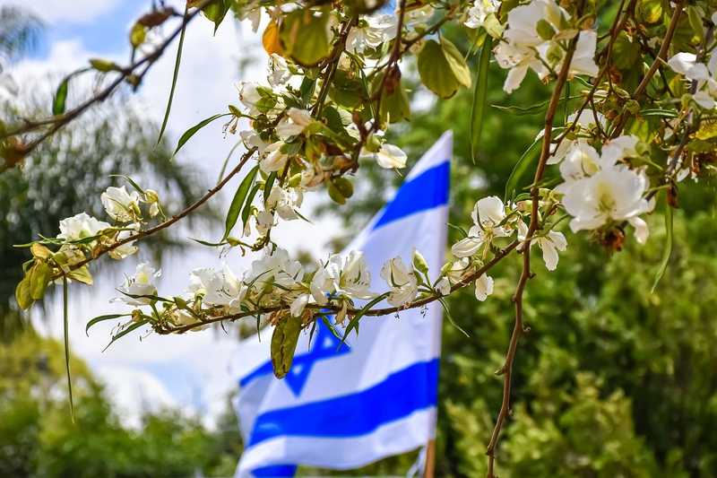 Izrael több mint 300 millió dolláros fegyverüzletet kötött Hollandiával