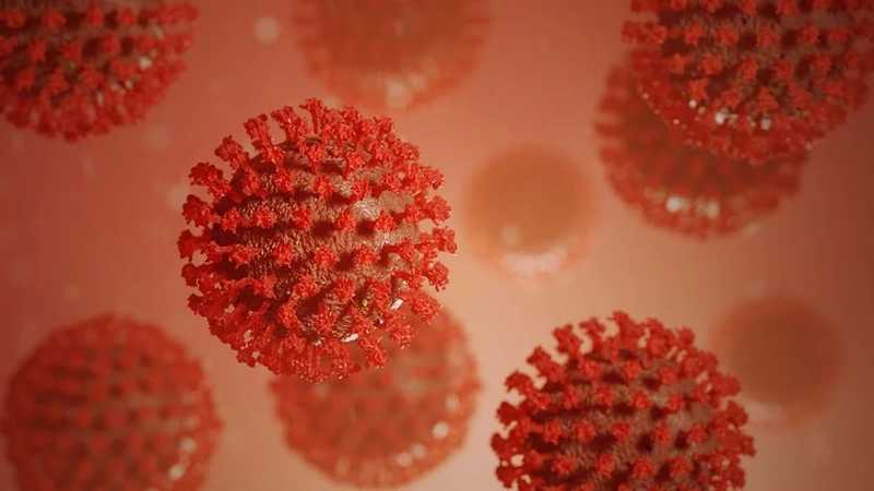 Még nem alakult ki immunitás a koronavírus ellen