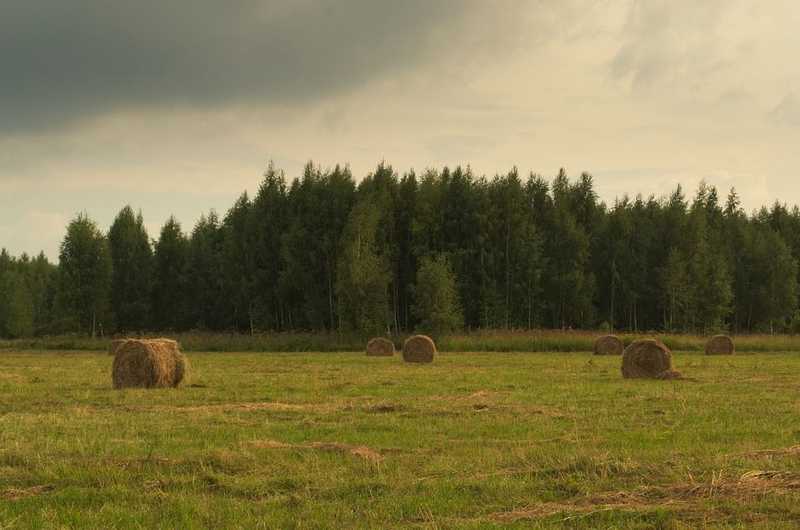 Gyakorta csapadékos, felhős lesz az idő a héten 