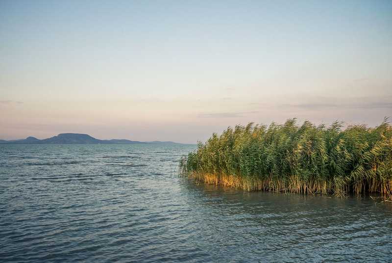 Mikroműanyagok és gyógyszermaradványok a Balatonban