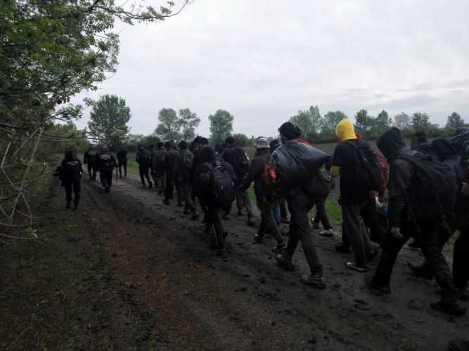 Negyvenöt migránst tartóztattak fel egyszerre Hercegszántónál