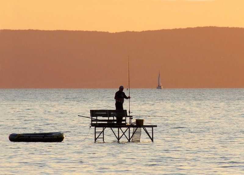 A hőhullámok hatására jobban algásodik a Balaton