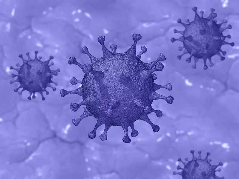 Pécsi Tudományegyetem: sikerült meghatározni a koronavírus teljes genetikai kódját