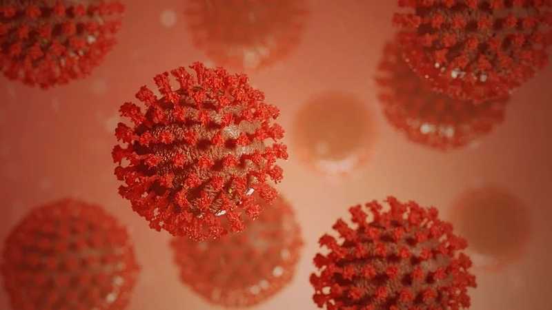 Dél-afrikai szakértő: nem okozott súlyos betegséget az omikron vírusváltozat