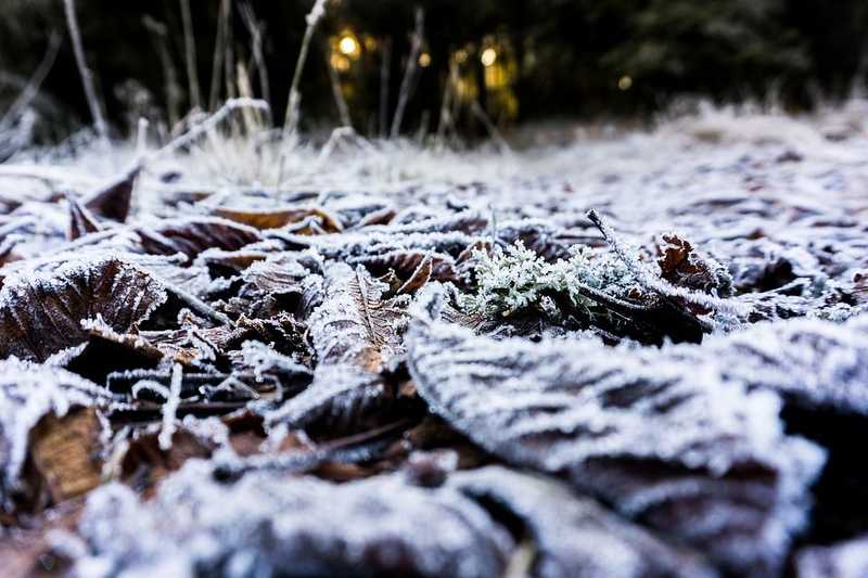 A hétvége második felében várható melegebb idő