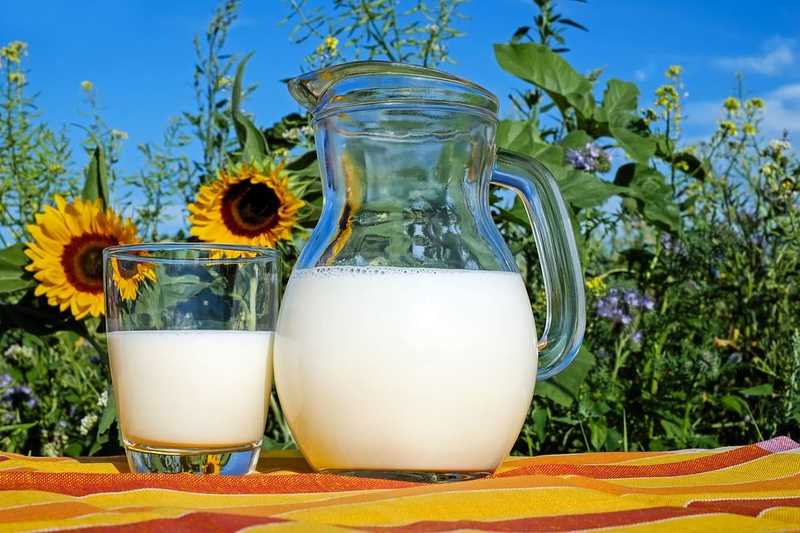 Több tényező is befolyásolhatja a tej árát