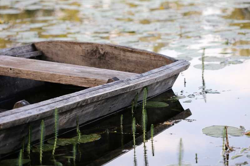 Újabb gyönyörű tó került veszélybe Magyarországon  